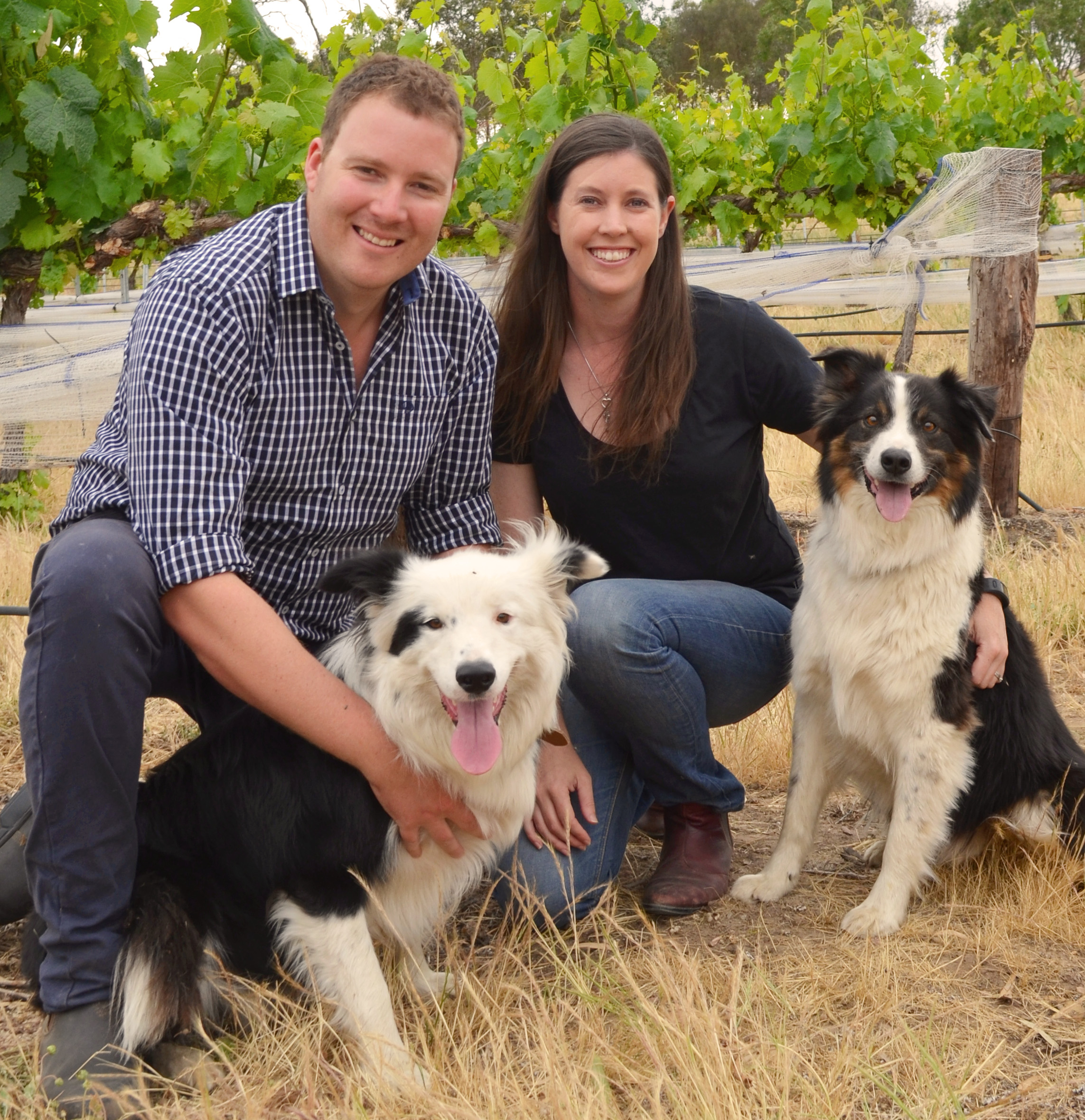 Man and woman with their dogs in the vineyard 